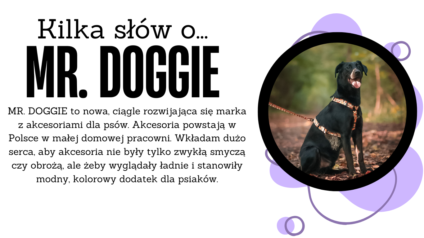 Poznaj-nasze(1).png