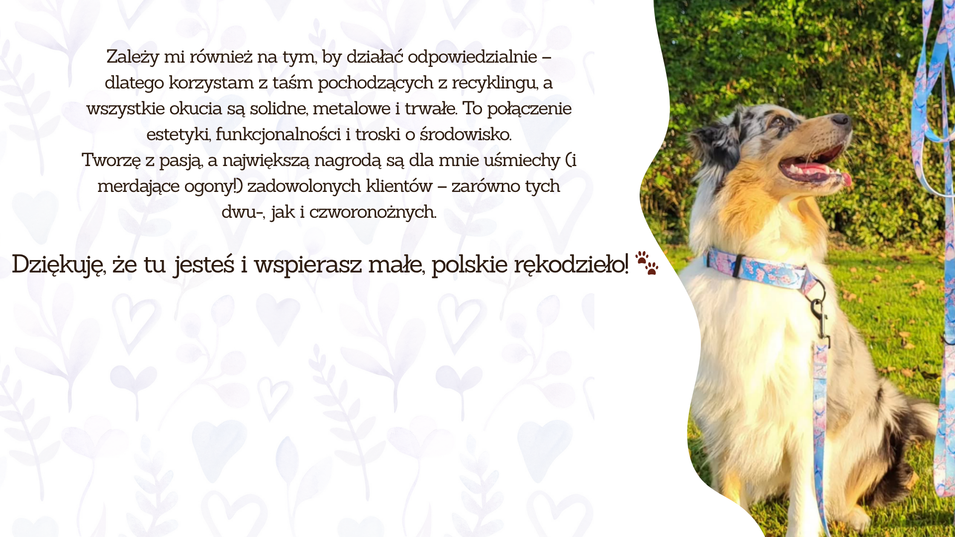 Poznaj-nasze-Prezentacja-(1).png